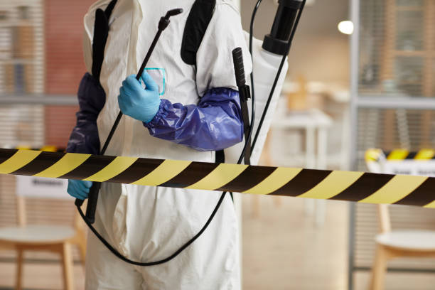 Professional Hoarding Cleanup technician working in Denton, TX