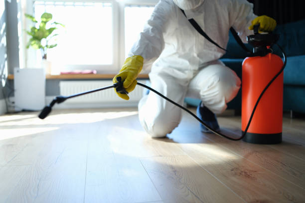 Reliable Hoarding Cleanup contractor in Denton, TX by Crime Scene Cleaner Online